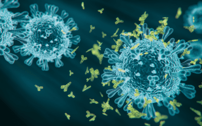 3D rendering of antibodies attacking cells infected with SARS-CoV-2