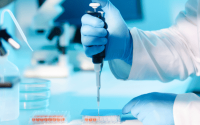 A close up of a researcher pipetting into a 96-well plate at a lab bench