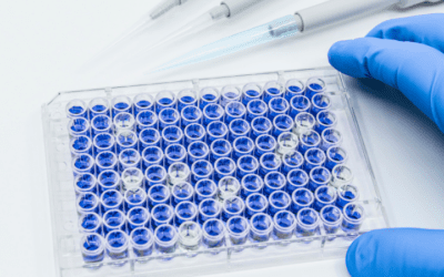 96 well plate and pipette