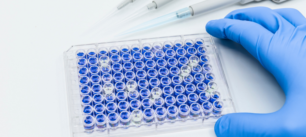 96 well plate and pipette