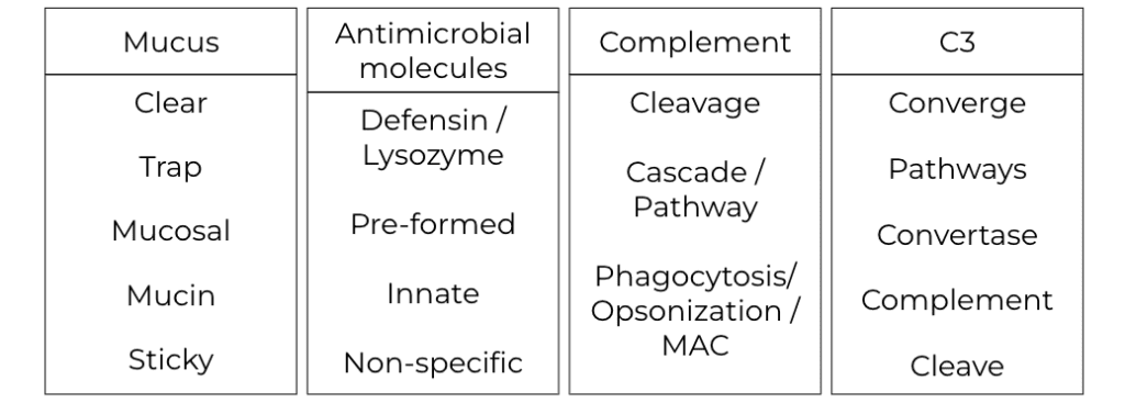 Four sample cards with immunological terms and corresponding "taboo" words. Example: "Complement" with the taboo words "Cleavage, Cascade/Pathway, Phagocytosis/Opsonization/MAC"