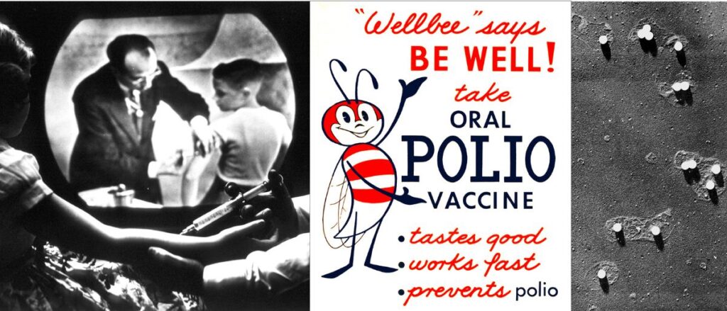 Collage of three historical images: Salk injects a polio vaccine; Sign advertising the Sabin vaccine with Wellbee, a bee catoon character; micrograph of poliovirus.